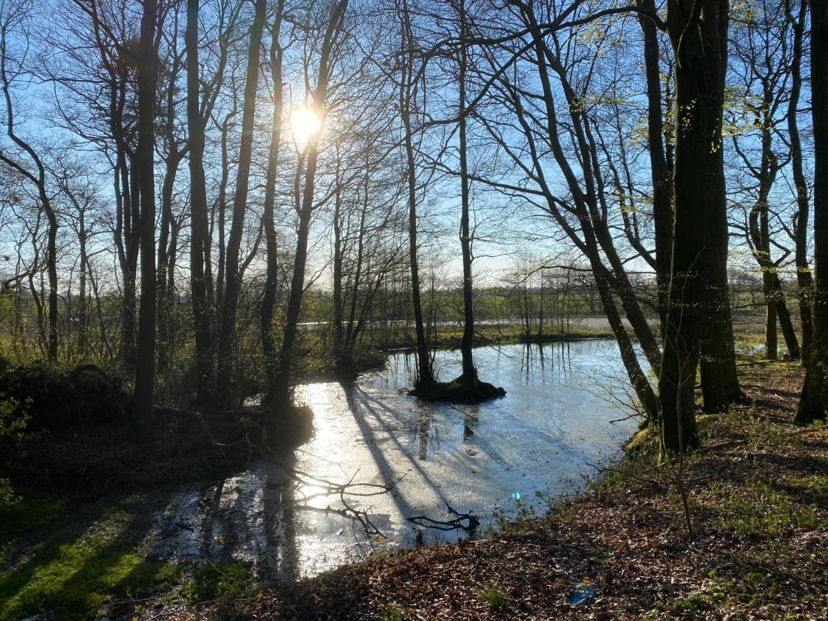 Nyopfort Luksusvaerelse I Naturskonne Og Rolige Omgivelser Branderup Zewnętrze zdjęcie